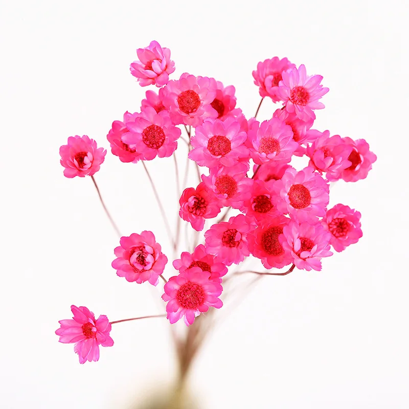 60pcs Natural Eternal Rose mini star flowers Dried Flower Bouquet for Wedding Party Home Decoration accessories Display flower | Дом и сад
