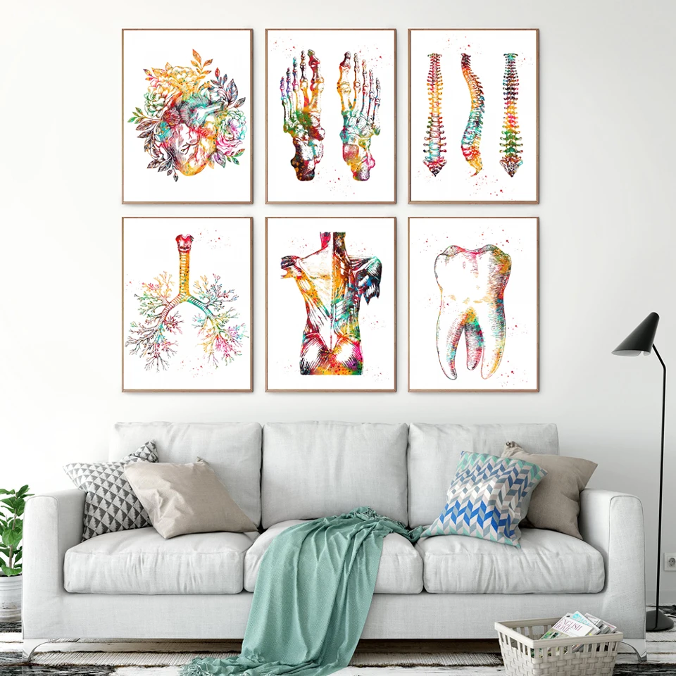 Плакаты с изображением сердец зубов скелета ячеек цветное художественное