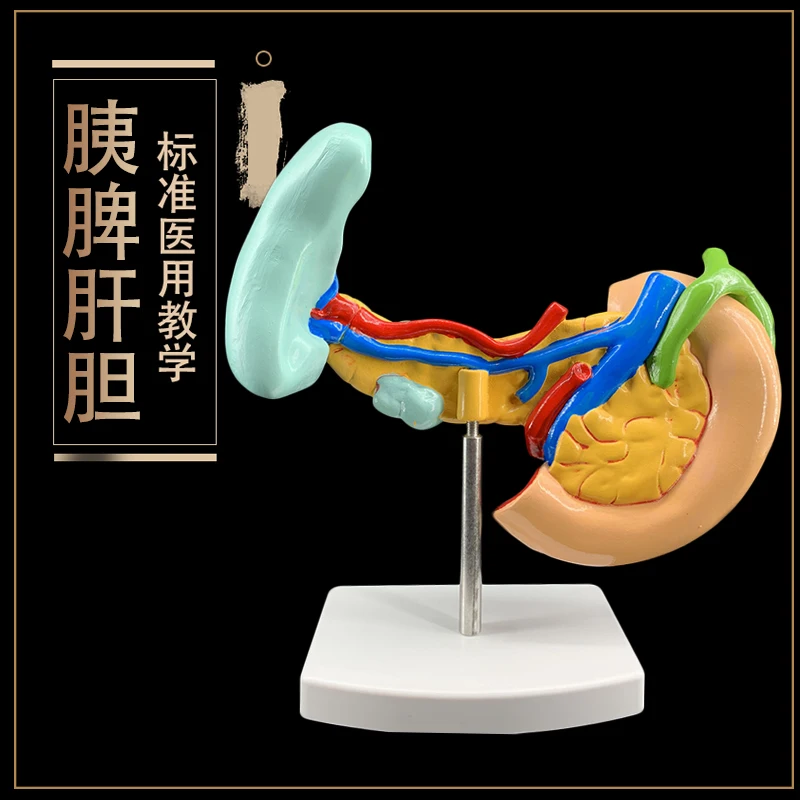 Больная поджелудочная железа селезенка печень желчный пузырь и duoцатиперстной
