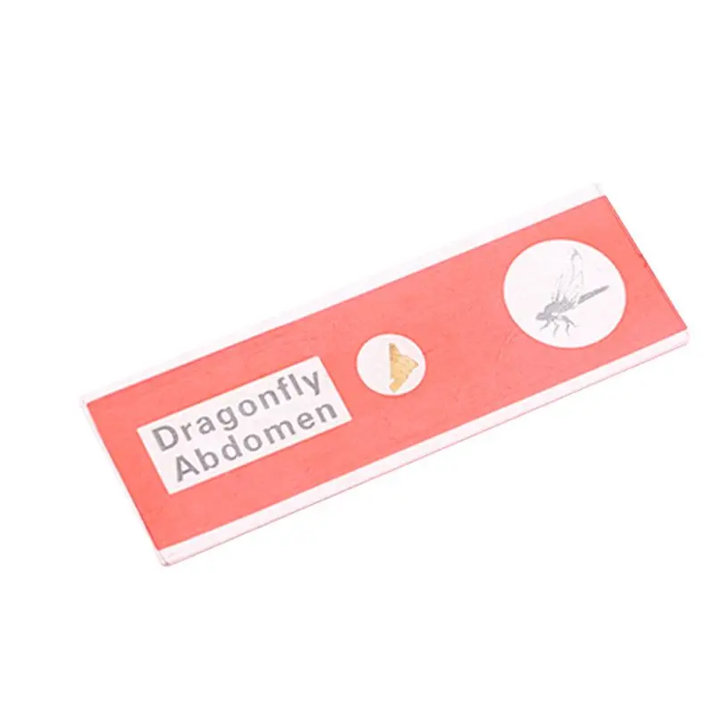 48 шт./компл. детский пластиковый Стандартный биологический образец животных