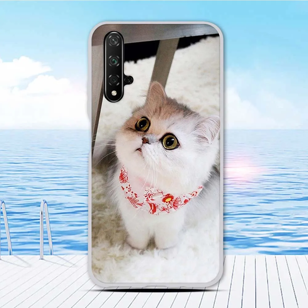 Чехол Funda 6,26 дюйма для huawei nova 5 T, силиконовый чехол для Honor 20, чехол с животным принтом, чехол для Honor 20 S, чехол для телефона, бампер - Цвет: 21
