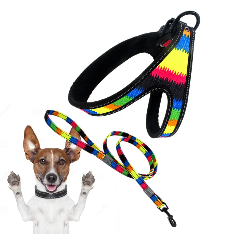 NEW Nylon Print Dog Harness And Leash Set Breathable Mesh Adjustable Straps Pet Small Vest High Quality Material | Дом и сад
