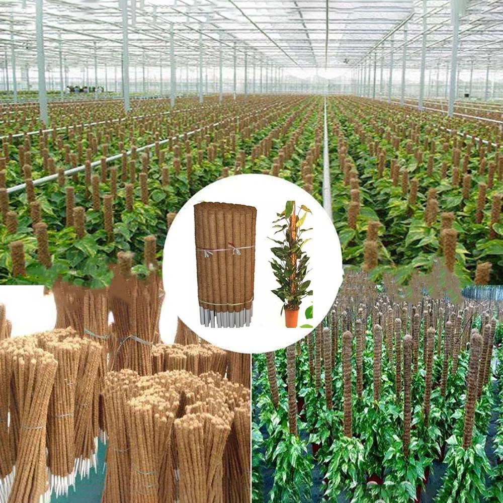 Опора для дома кокосовое волокно стойка подъема растений удлинитель офиса рама