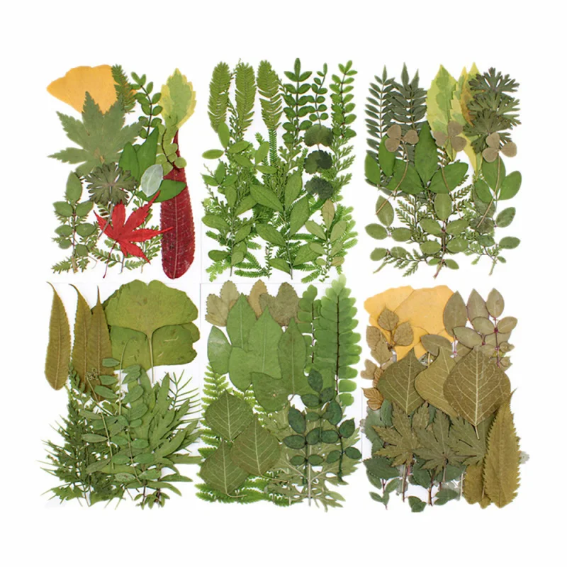 

Natural Green Leaves Dried Flower Material Package DIY Handmade Making Aromatherapy Epoxy Candle Filling Supplies
