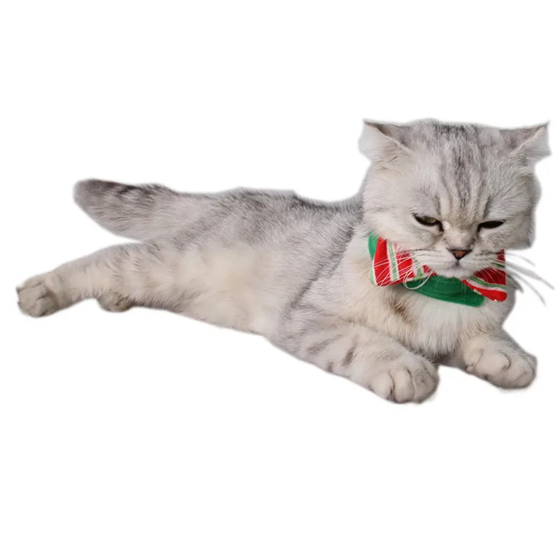 Новогодняя Милая одежда для косплея питомца женская шляпа большая собака