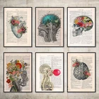 Анатомия человека, художественные плакаты и принты, сердце, мозг, легкие, настенная живопись, скандинавские картины маслом для врача, офиса, домашнего декора