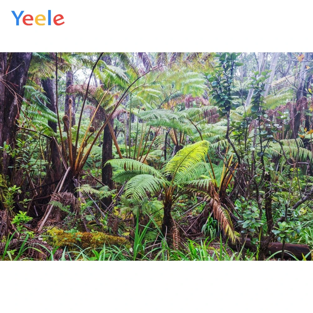 Yeele тропические джунгли пейзаж вечерние настенные Краски украшения