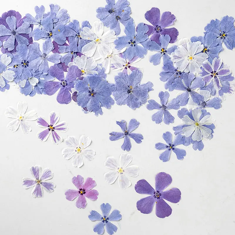 Сушеные цветы круглой формы для рукоделия бесплатная доставка 120 шт. | Дом и сад