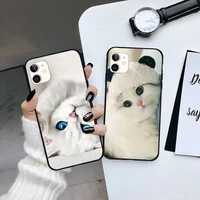 animal cat phone case for iphone 13 7 8 11 12 x xs xr pro max samsung a s 9 71 10 plus mini mobile bags funda coque cover