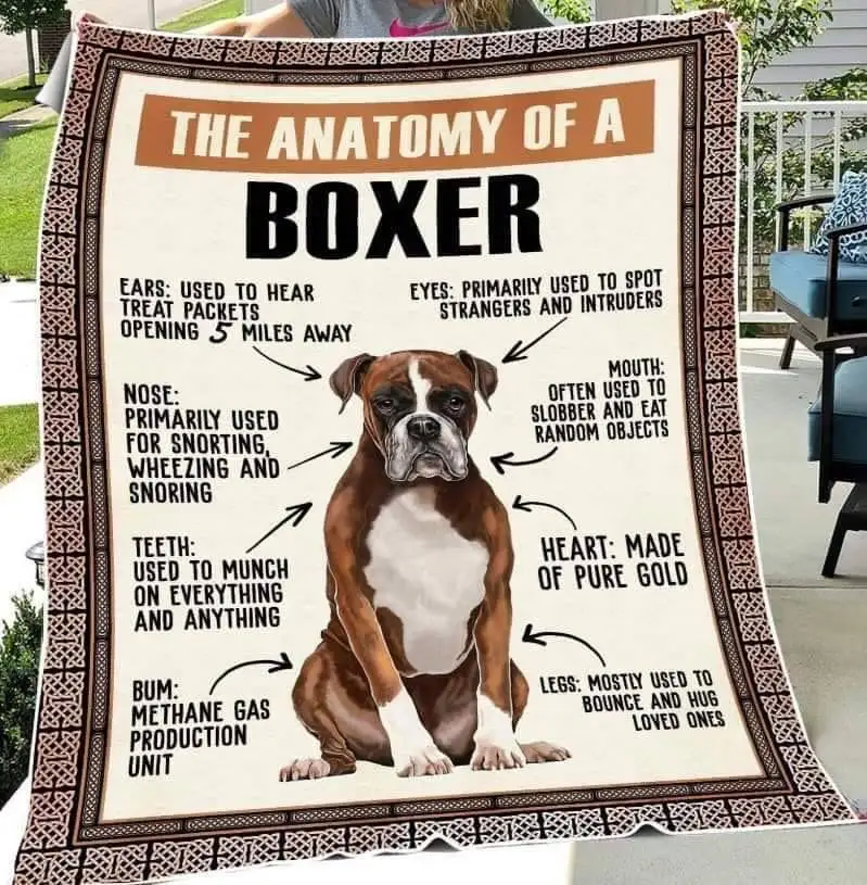 Одеяло с принтом собаки детское Школьное для взрослых мягкое теплое тонкое