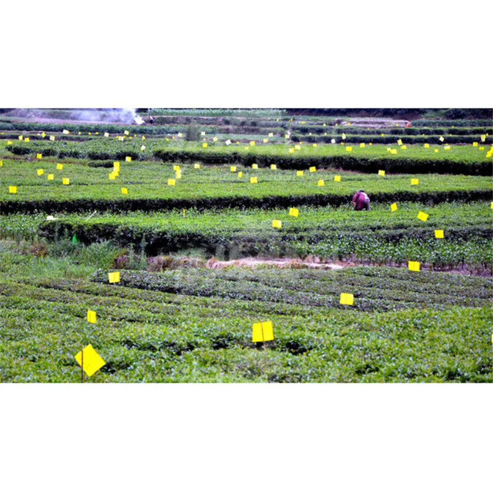 

20Pcs Sticky Fly Trap Paper Yellow Trap Fruit Flies Insect Glue Catcher Setw Gardening Farm Pest Control Supplies Dropshipping