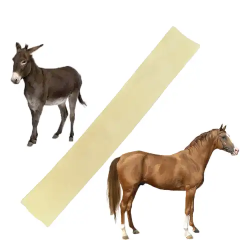 Artificial insemination vagina - купить недорого | AliExpress