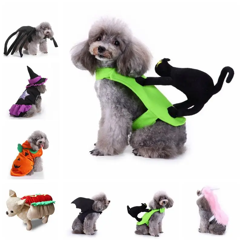 Собаки Хеллоуин Костюмы Творческий Своеобразный Волшебник Тыква Паук Летучая