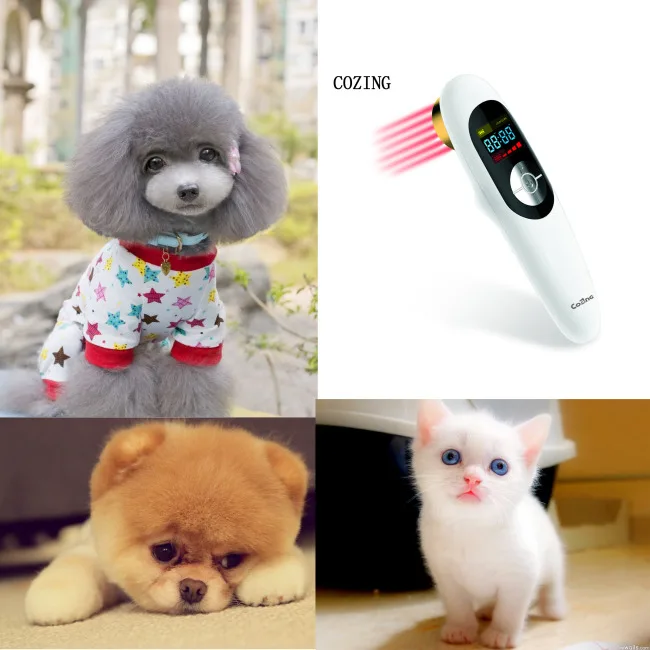 

COZING can help post-operative wound repair, pet home laser treatment instrument with anti-inflammatory function