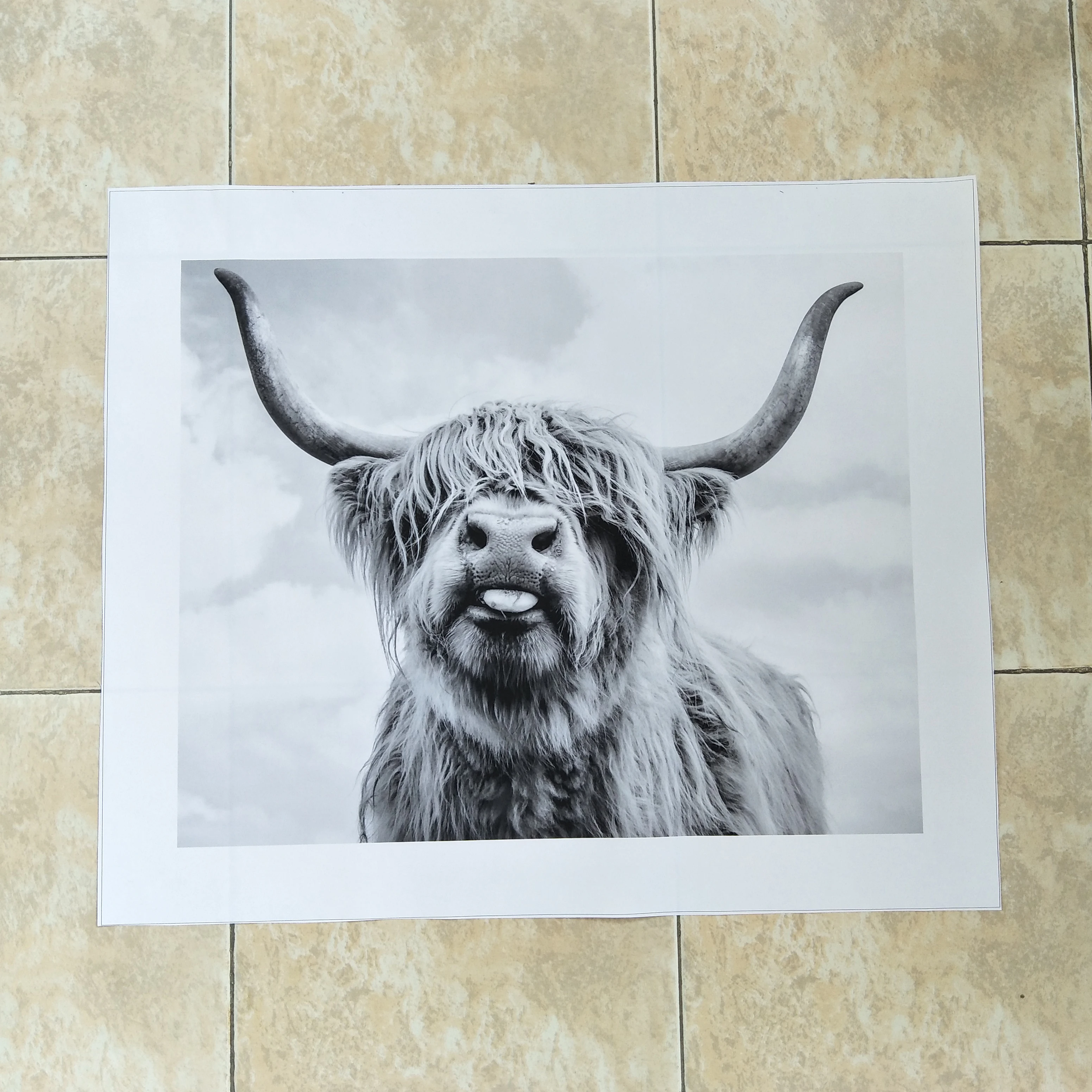 

Black and White Highland Cow Cattle Wall Canvas Art Nordic Painting Poster and Print Scandinavian Wall Picture for Living Room