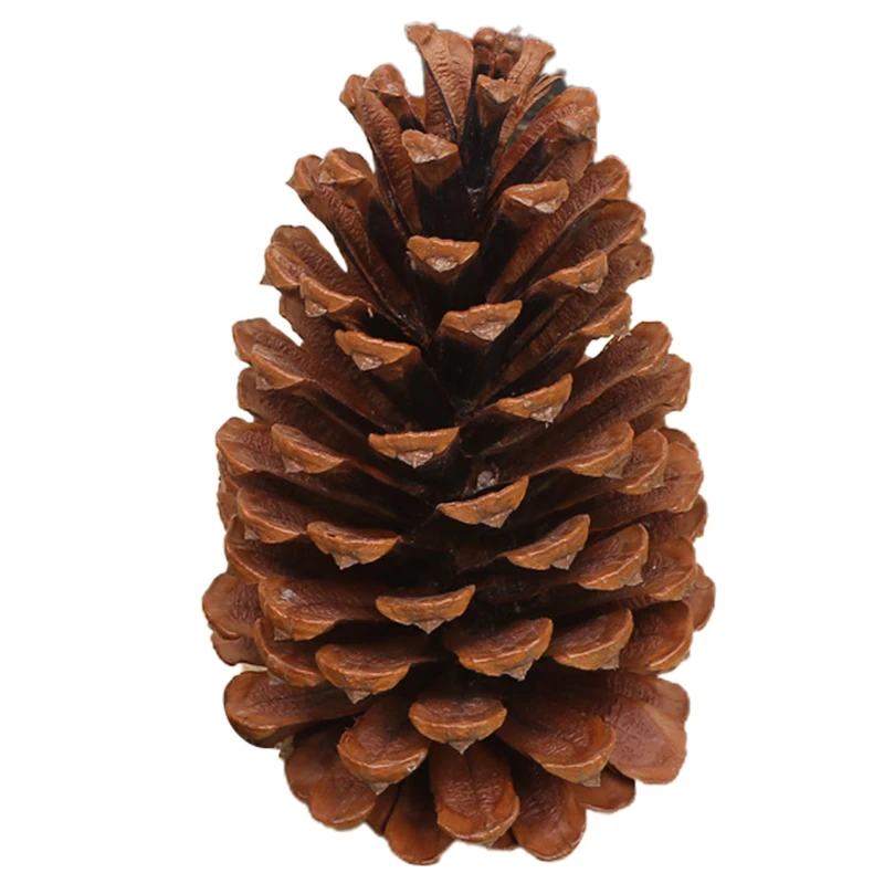 

Рождественские украшения Pinecone, натуральные большие сосновые конусы, рождественская елка, Декор для дома, уличное украшение, Рождественский...