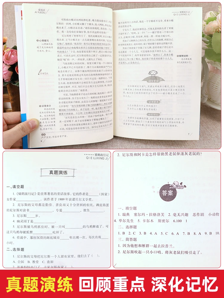 6 шт. детский фотоальбом динозавр | Канцтовары для офиса и дома