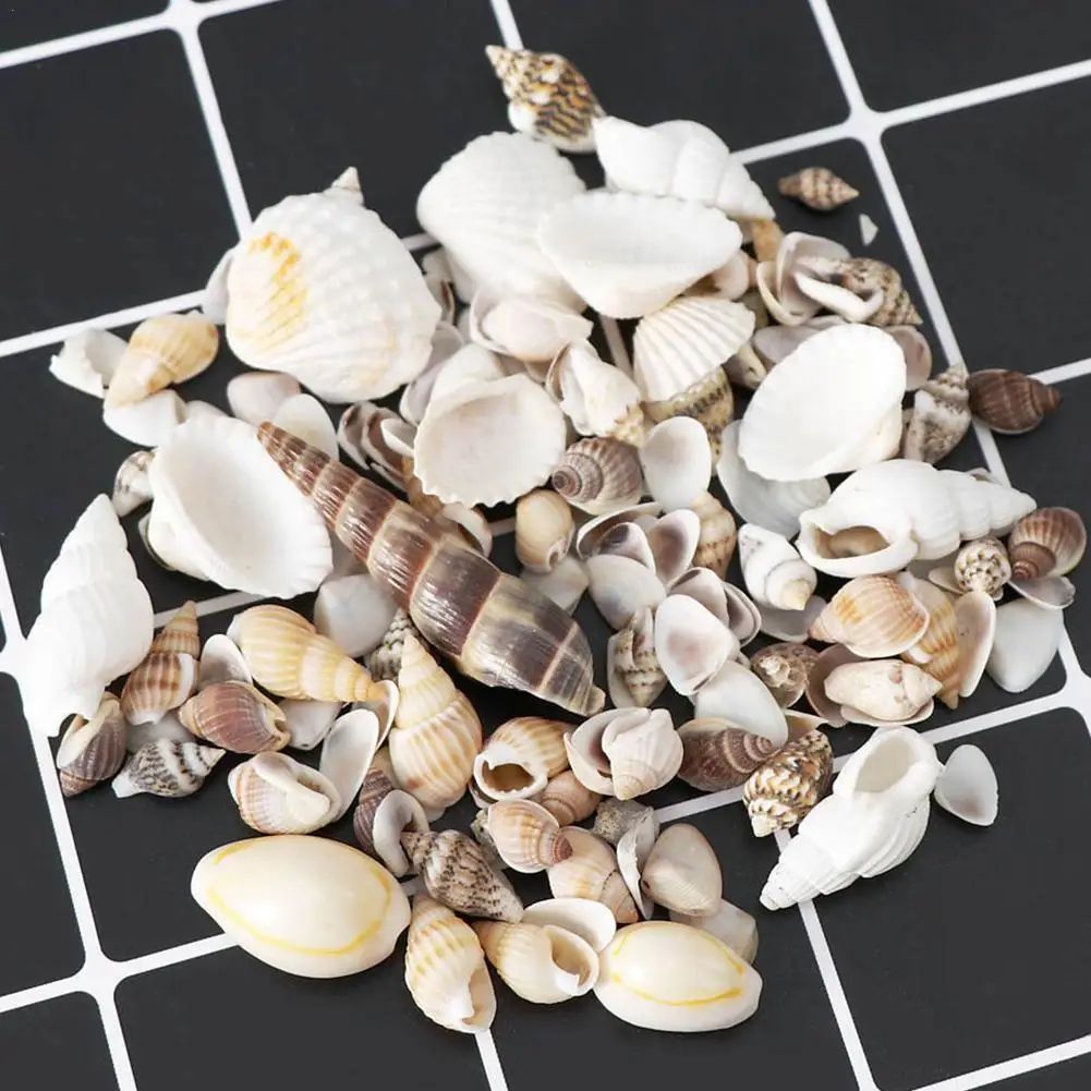 

Mix Style Natural Shell 30g 1 BOX Natural Conch Shells Mini Conch Corn Screw Wall Decoration DIY Aquarium Landscape Seashells