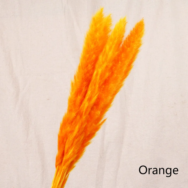 Orange 7 шт. Bulrush Натуральные Сушеные маленькие пампасы травы Phragmites растения искусственные, свадебные цветы букет домашний Рождественский Декор искусственный цветок - Цвет: Orange