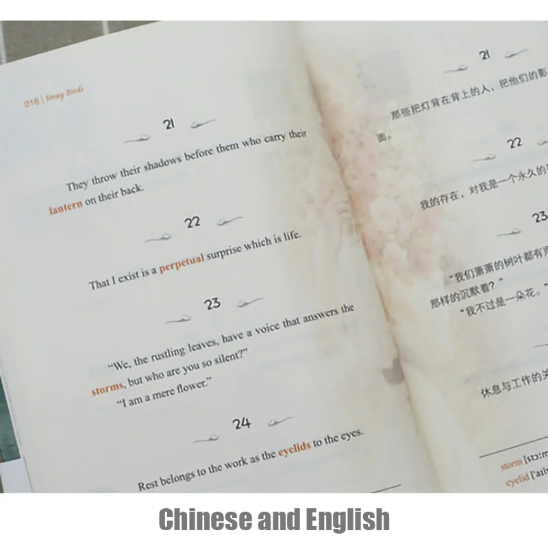 2 шт. книга на китайском и английском языках|Современная литература| |