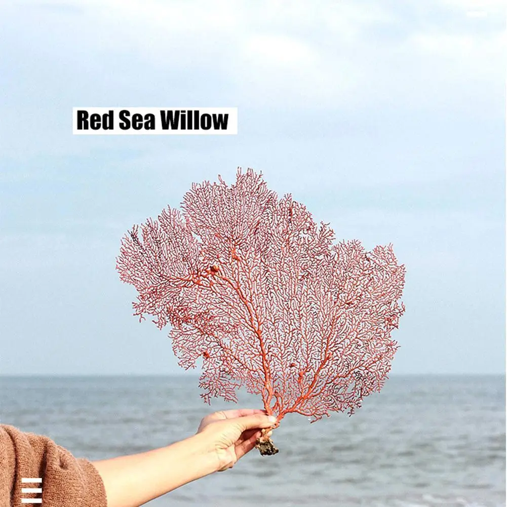 Подводная лодка Коралловое Дерево 30-40 см морское железное дерево красная морская