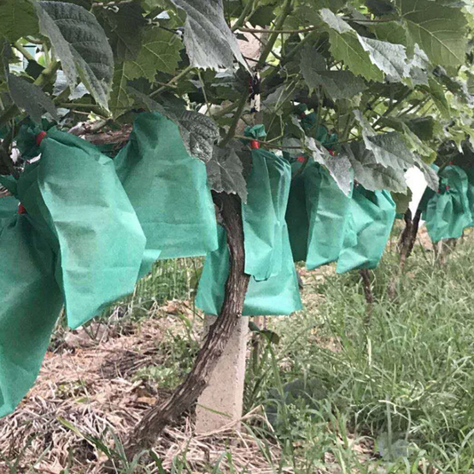 

100pcs/set Plants Protection Bag Green Non-woven Fabric Fruit Barrier Cover Bags