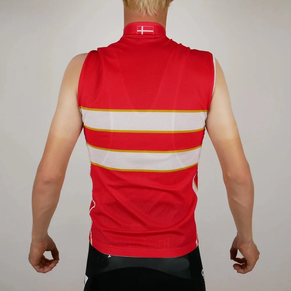 Ветрозащитная безрукавка WINDSTOPPER 2019 датский Дания только для национальной