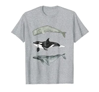 whale trio t shirt sperm orca humpback
