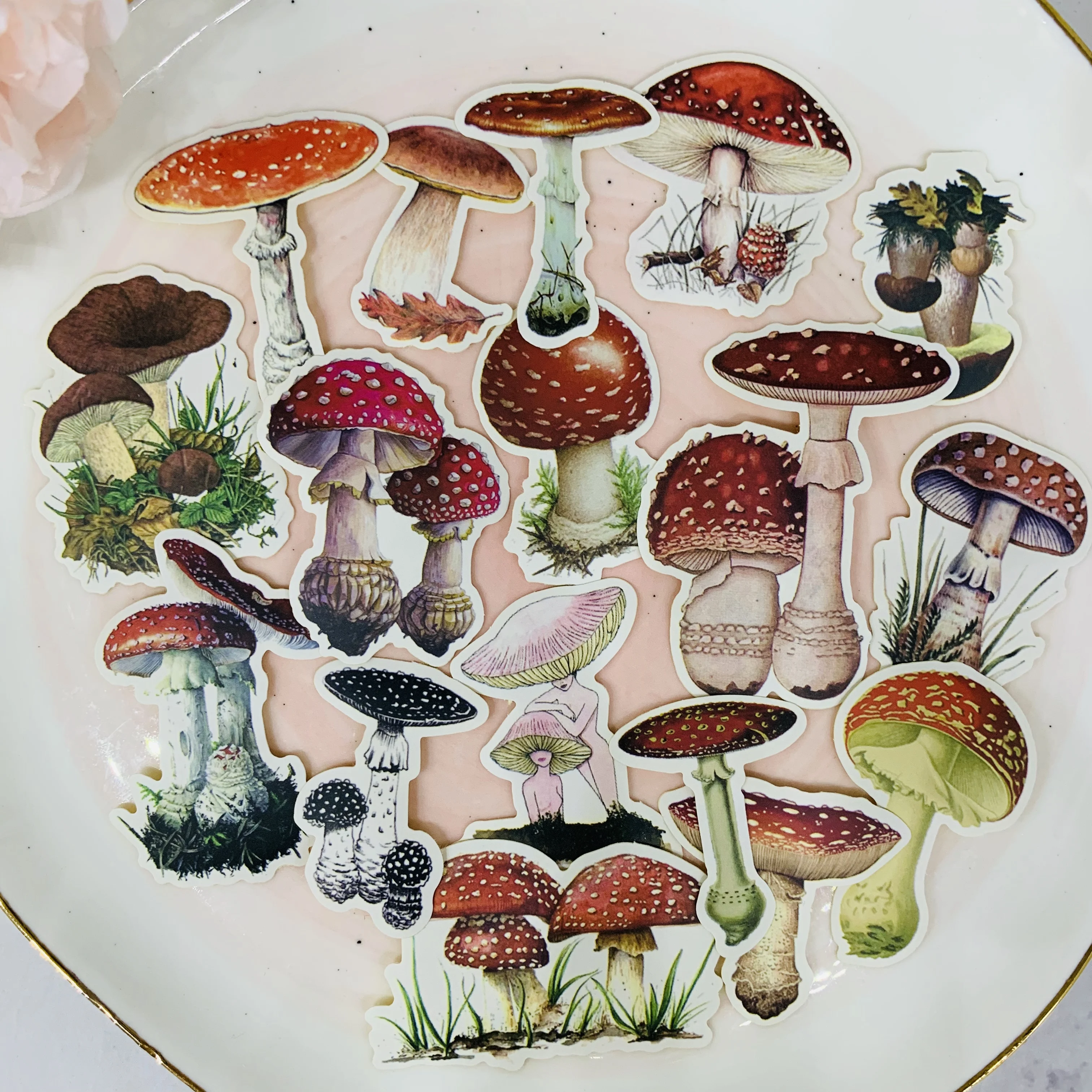 

17Pcs/Bag Vintage Mushroom Sticker DIY Craft Scrapbooking Album Junk Journal Happy Planner Decorative Stickers