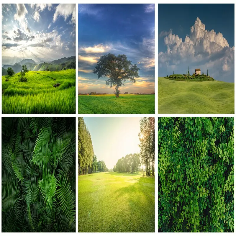 

SHUOZHIKE Natural Scenery Photography Background Green grass Forest Flower Landscape Travel Photo Backdrops Studio Props CTCD-11