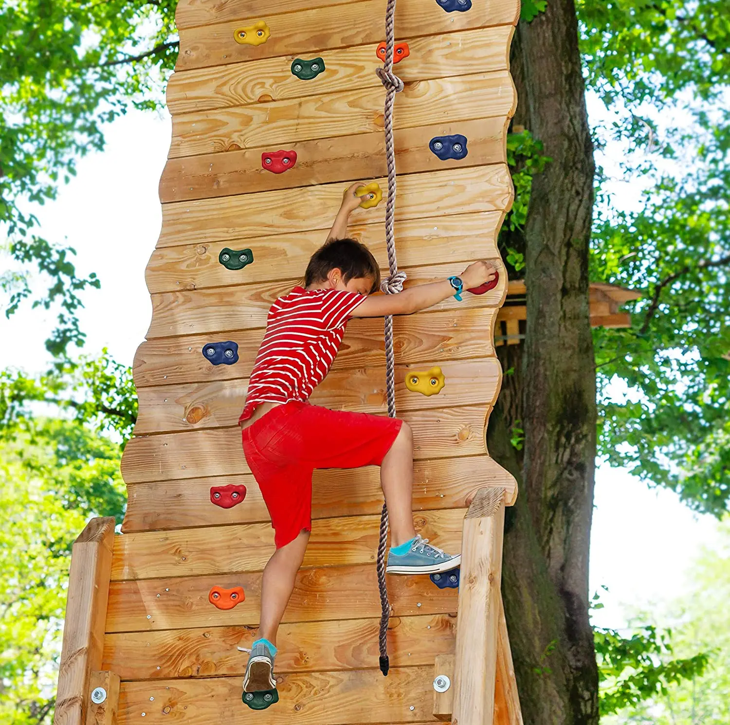 

10PCS DIY Rock Climbing Wall-Rock Climbing Holds for Kids and Adults-Included Mounting Hardware Climbing Rocks