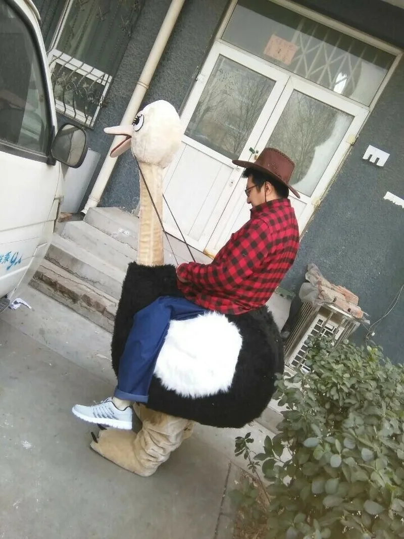 Костюм талисмана страуса Костюмы для вечеринки Нарядное платье взрослых Размер