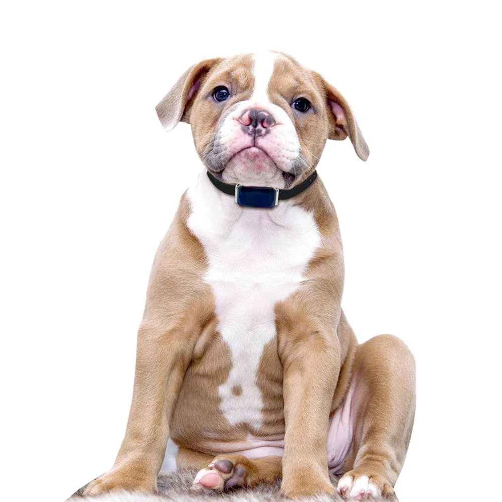 Умный ошейник с GPS трекером для домашних животных собак кошек детей телефон