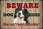 Остерегайтесь поцелуев собак, собака не может держать его лизание! -Бернская горная собака-знак для домашних животных должен использоваться в помещении.