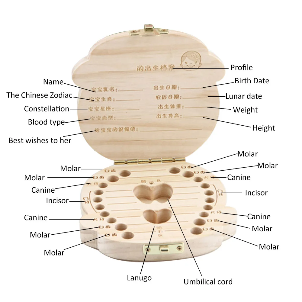 

Baby growth souvenir box printed baby tooth box colored wooden