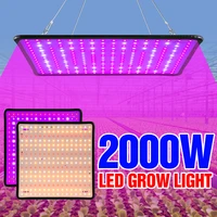 2000w grow light led full spectrum lamp led plant light bulb greenhouses indoor phyto lamp hydroponic grow tent us eu uk plug