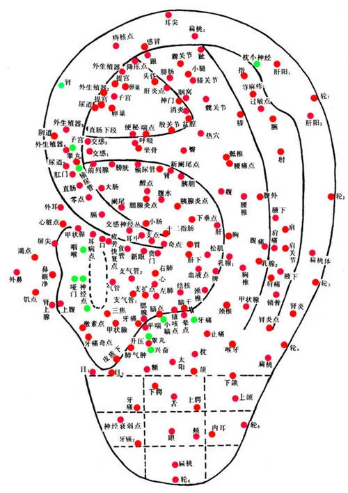 600 шт./лот расслабляющие наклейки для ушей иглоукалывание иглы семена массажа