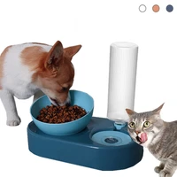 automatic cat feeder water dispenser dogs food and water bowl dog bowls with stand raised pet drinking fountain feeding bowls