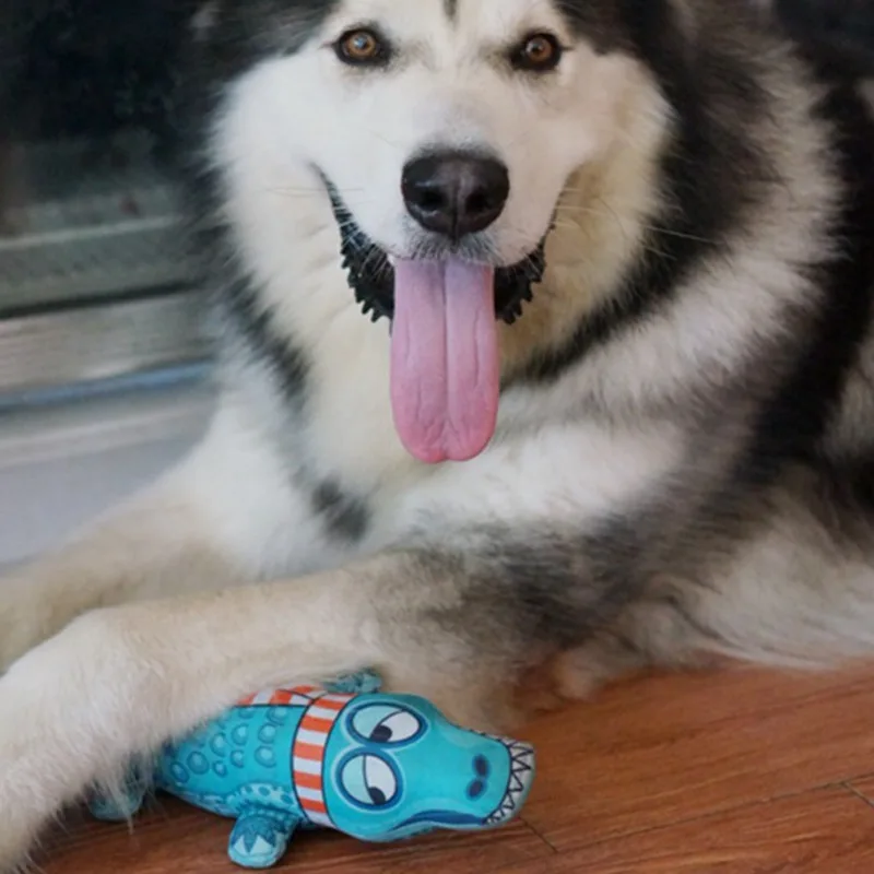 

Pet Dog Chew Toy Cute Cartoon Crocodile Shape Molar Bite-resistant Cleaning Teeth Sounding Pet Cat Dog Interative Toy