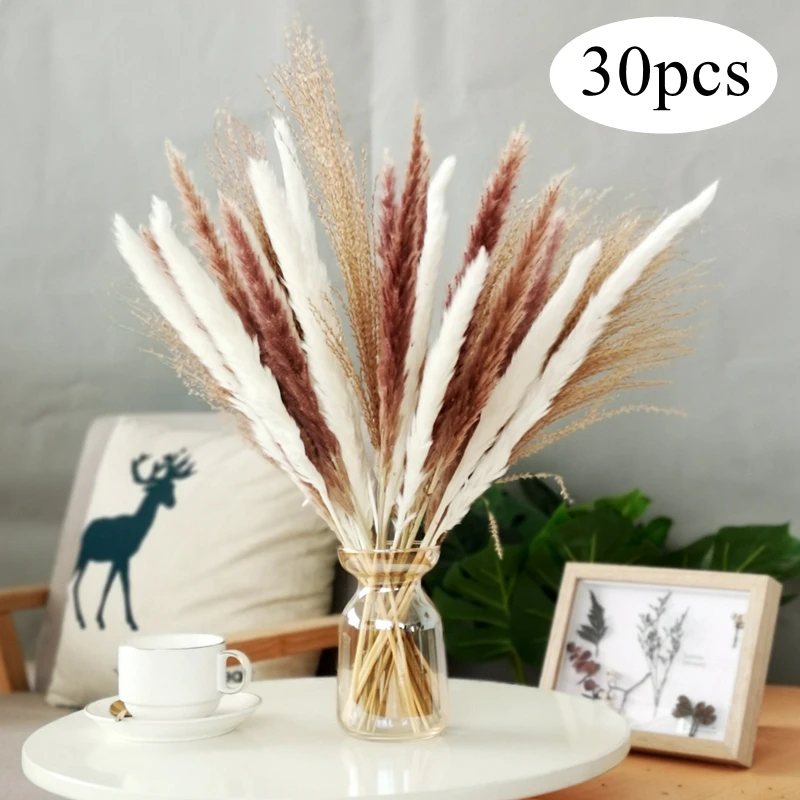 

30Pcs Real Dried Reed Flowers Bouquet Home Wedding Decoration Table Flores Preservadas Natural Pampas Grass Decor For Room