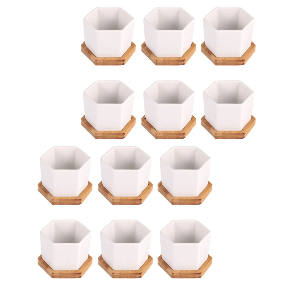 

24 Pcs Succulent Pots Decorative Flower Holders Flower Pots with Trays (White)