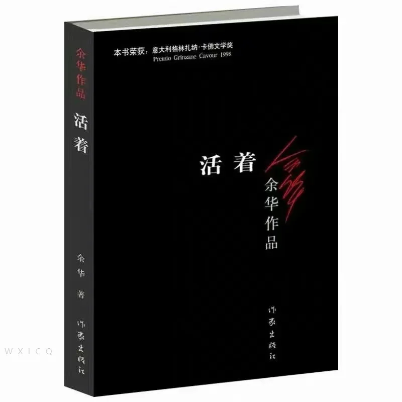 

Книга для литературы Yu Hua, книга для чтения китайской художественной литературы