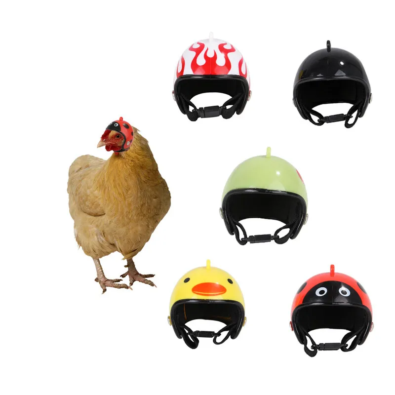 2019 модный Забавный куриный шлем милый мультяшный маленький питомец птица Защита