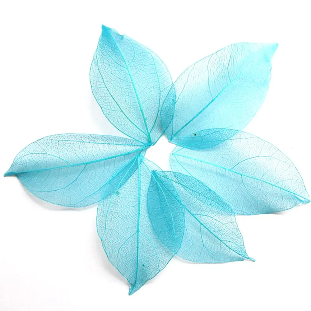 100 шт. белого цвета по желанию натуральный каркас листьев для самостоятельного