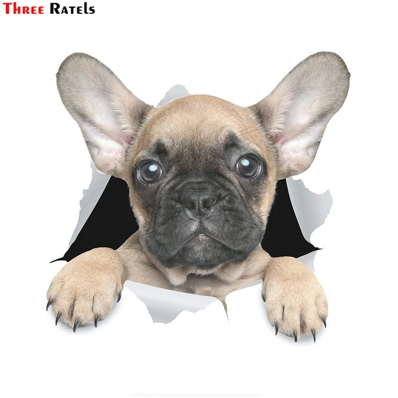 

Three Ratels FTC-1083 3D Dog Stickers Cute French Bulldog Sticker For Wall, Fridge, Toilet And More