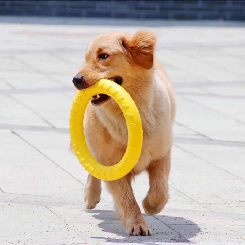 

Rubber Pet Big Dog Pull Ring Toys Training Pull Ring Interactive Toys bite resistant Chewing Teeth Outdoor Dog interactive Toys