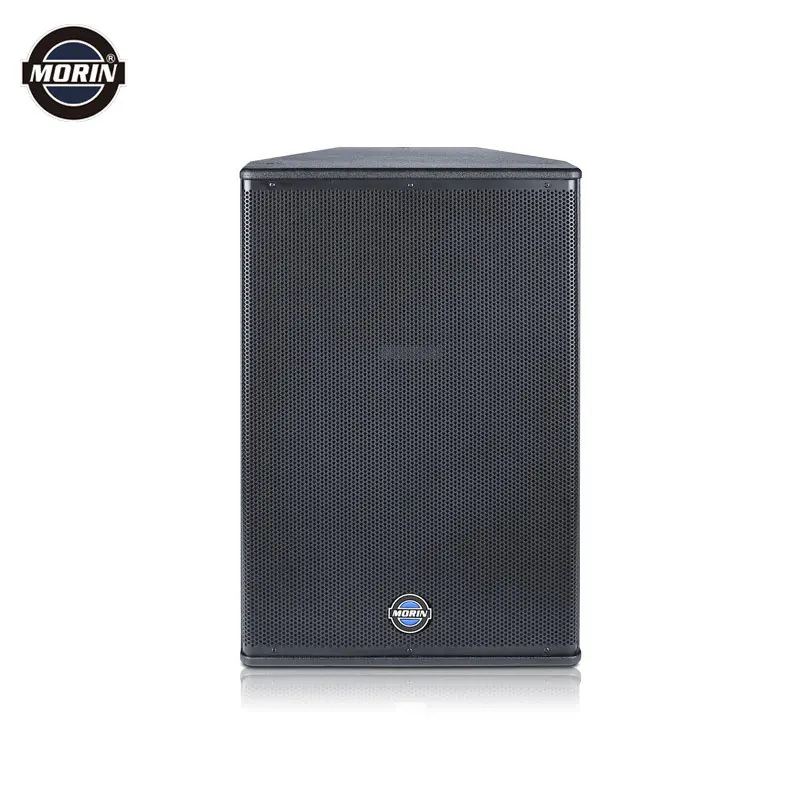 

12 inch full range speaker 2 way loudspeaker