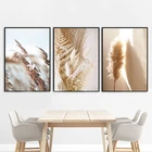 Плакат с сушеными цветами и принтом в скандинавском стиле, Настенная картина с изображением бежевого тростника пшеницы, солнечного света, холст для гостиной, домашний декор