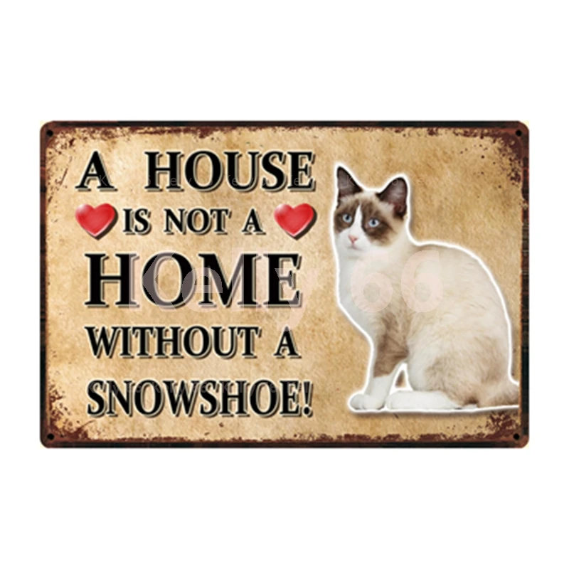 Животные Kelly66 кот Бомбей сиамский бирманский Бирман Абиссинский металлический