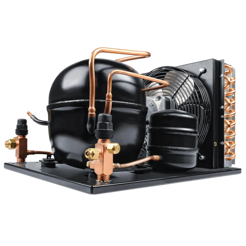 Конденсаторный агрегат с воздушным охлаждением объемом 10 куб. См/об./мин.